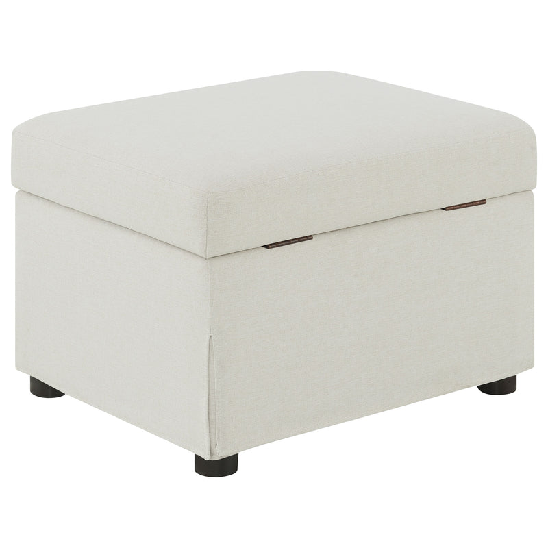Winter Storage Ottoman