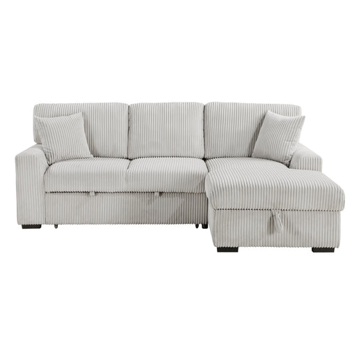 Marsh-(2)2-Piece Sectional with Pull-out Bed, Right Chaise and Hidden Storage image